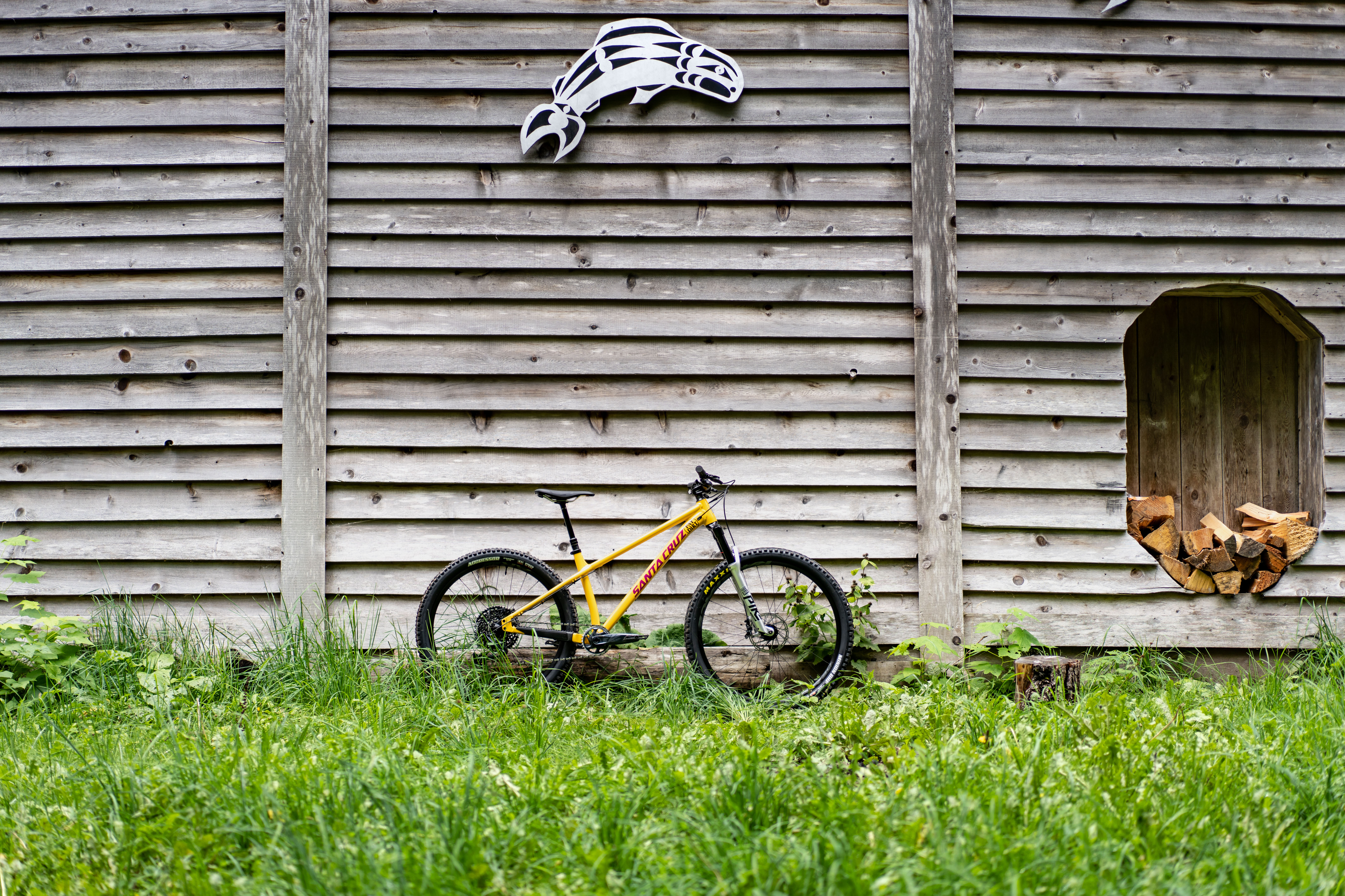 Fahrradfahrerin in der Natur