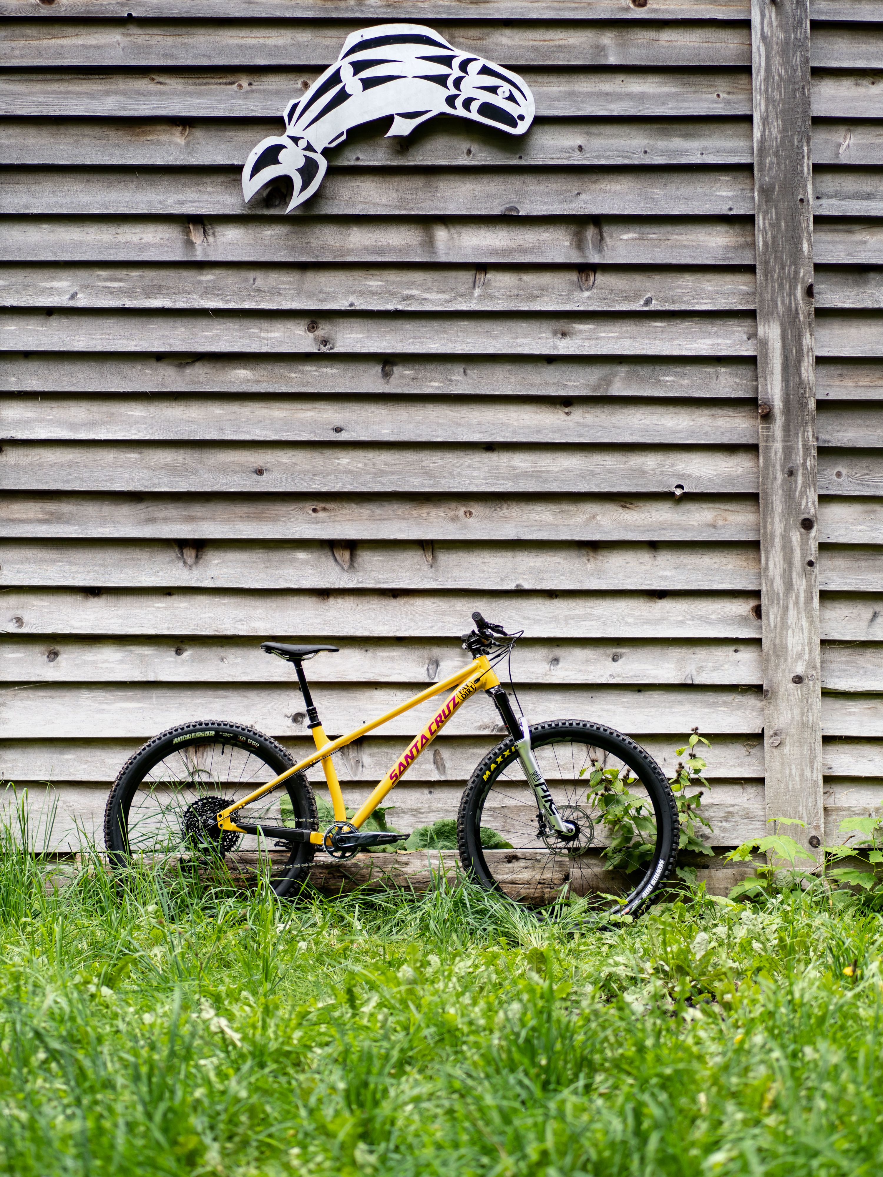 Fahrradfahrerin in der Natur