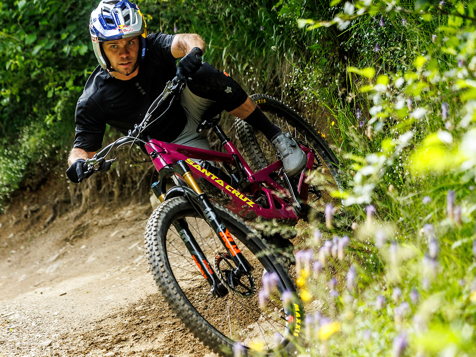 Santa Cruz Bike auf einem Trail
