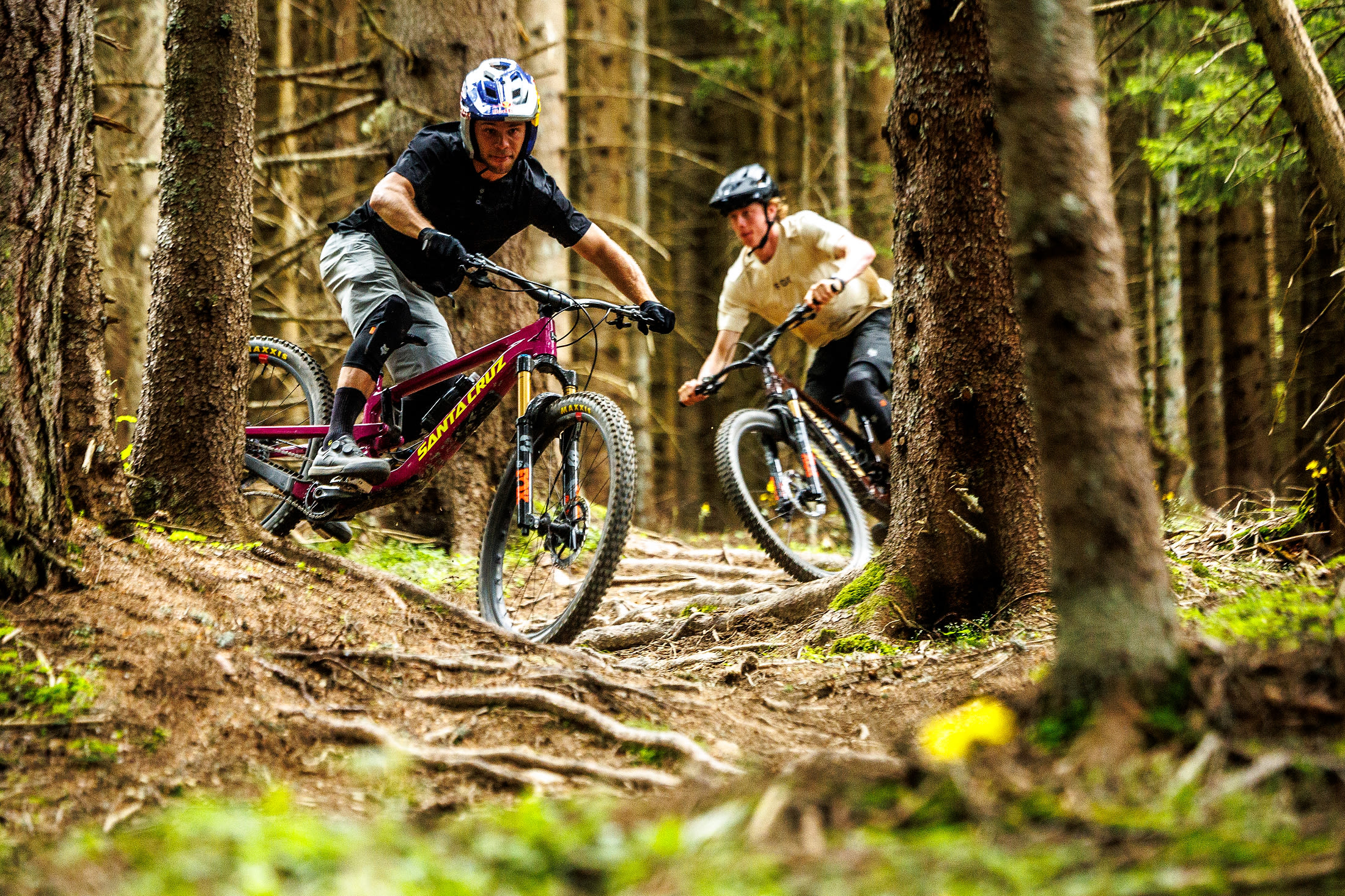 Zwei Mountainbiker im Wald beim Downhill fahren