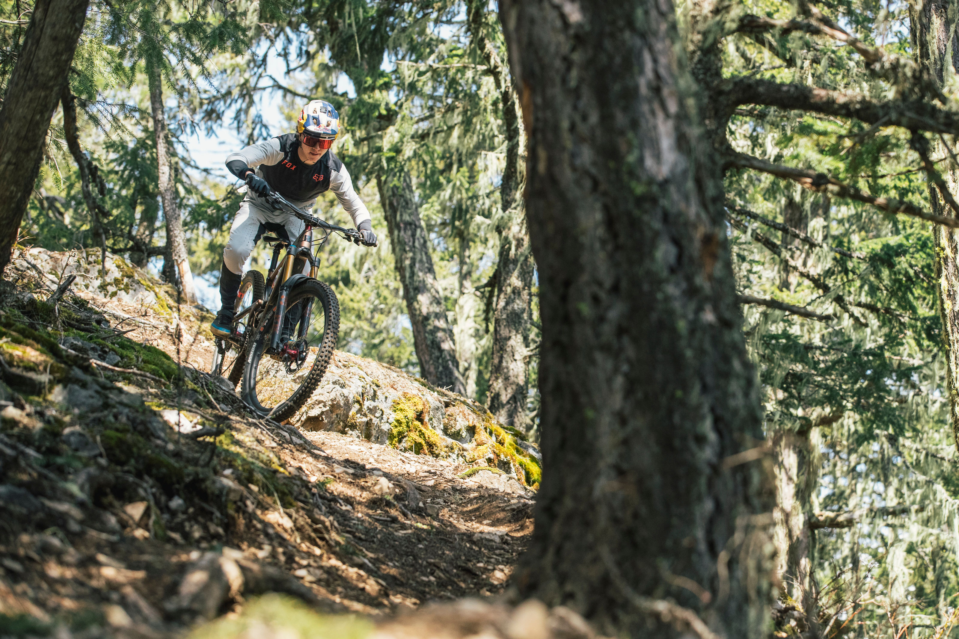Mountainbiker auf einer Strecke im Wald