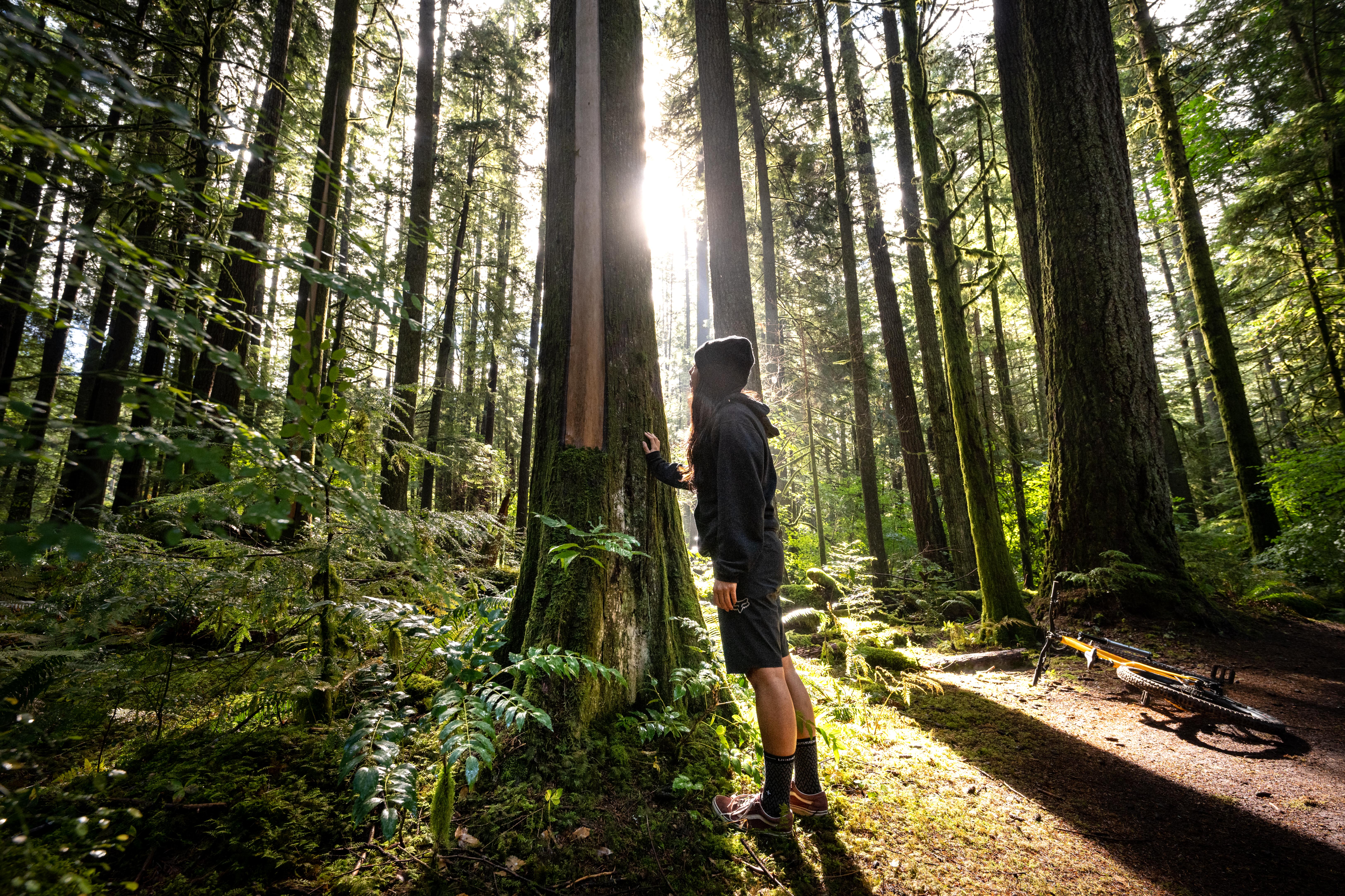 Umfassendes Nachhaltigkeitskonzept: BusinessBike möchte eine bessere Welt für nachfolgende Generationen gestalten