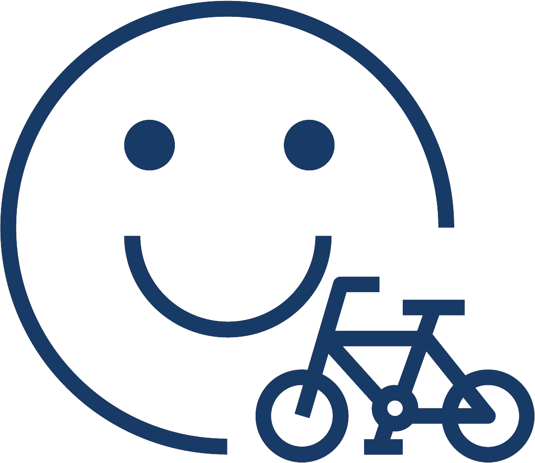 Icon Fahrfreude NEU