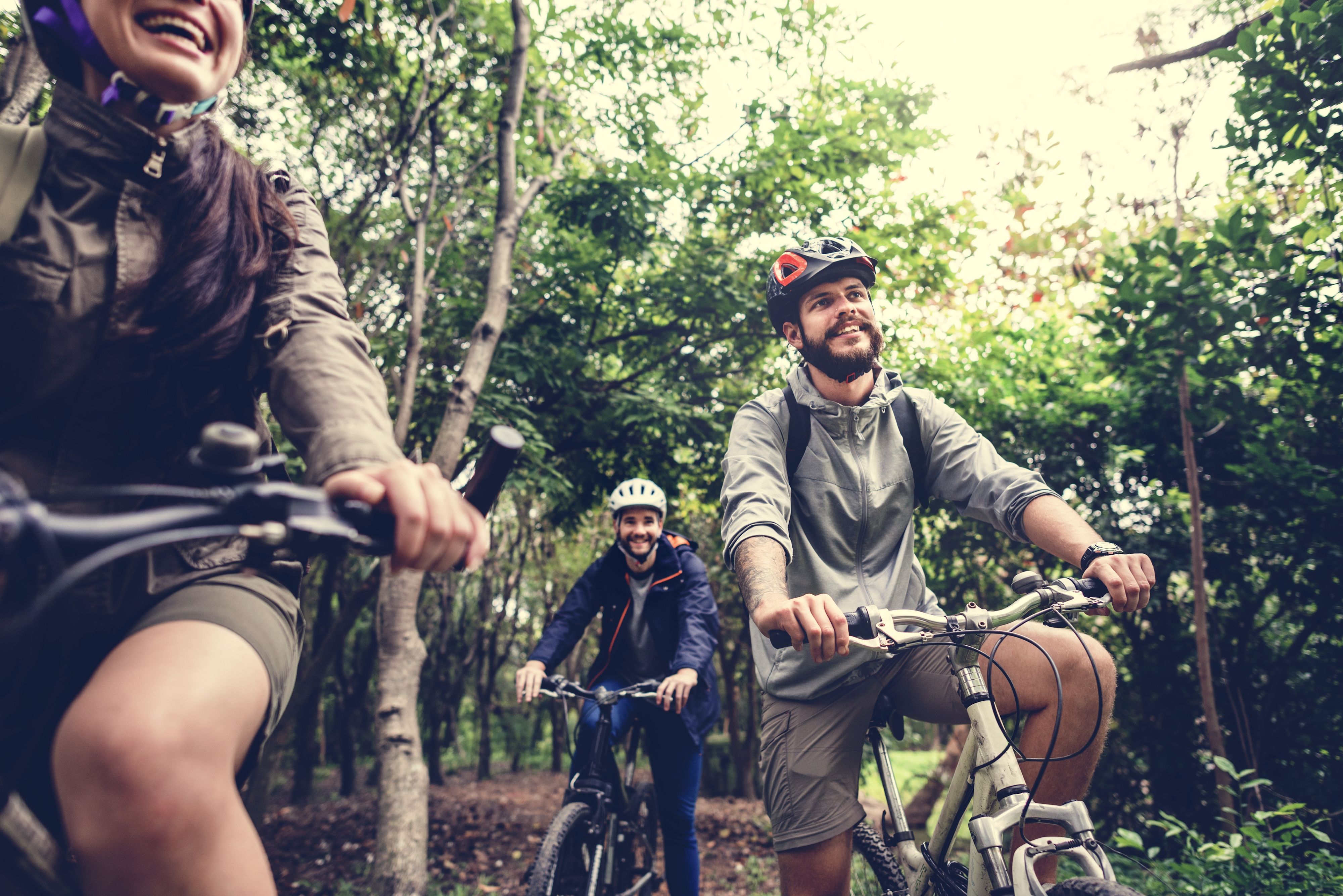 Gruppe von Fahrradfahrern die durch den Wald fahren