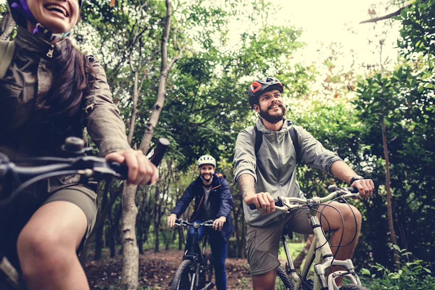 Bild Radfahrer Gruppe im Wald