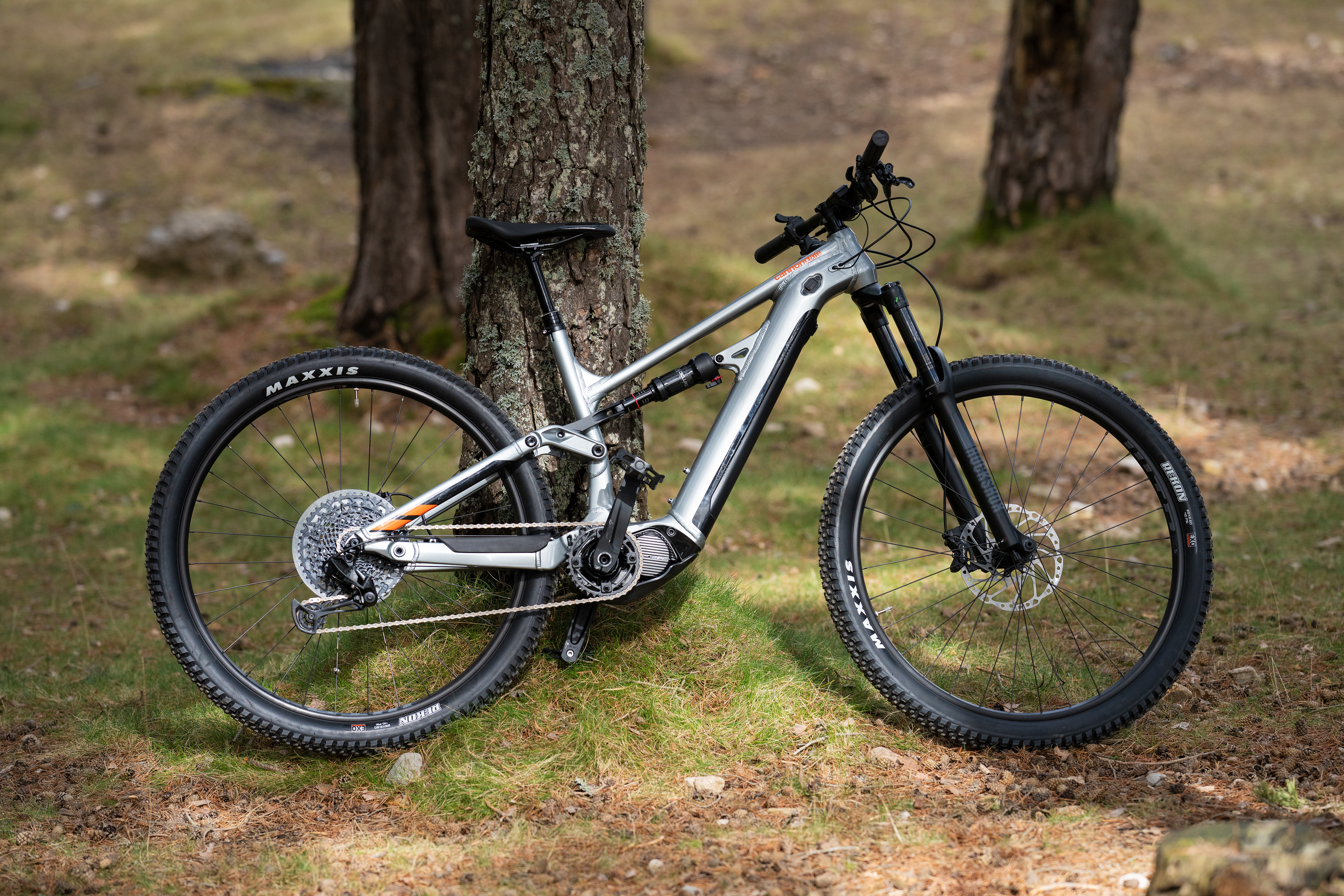 E-Bike im Wald