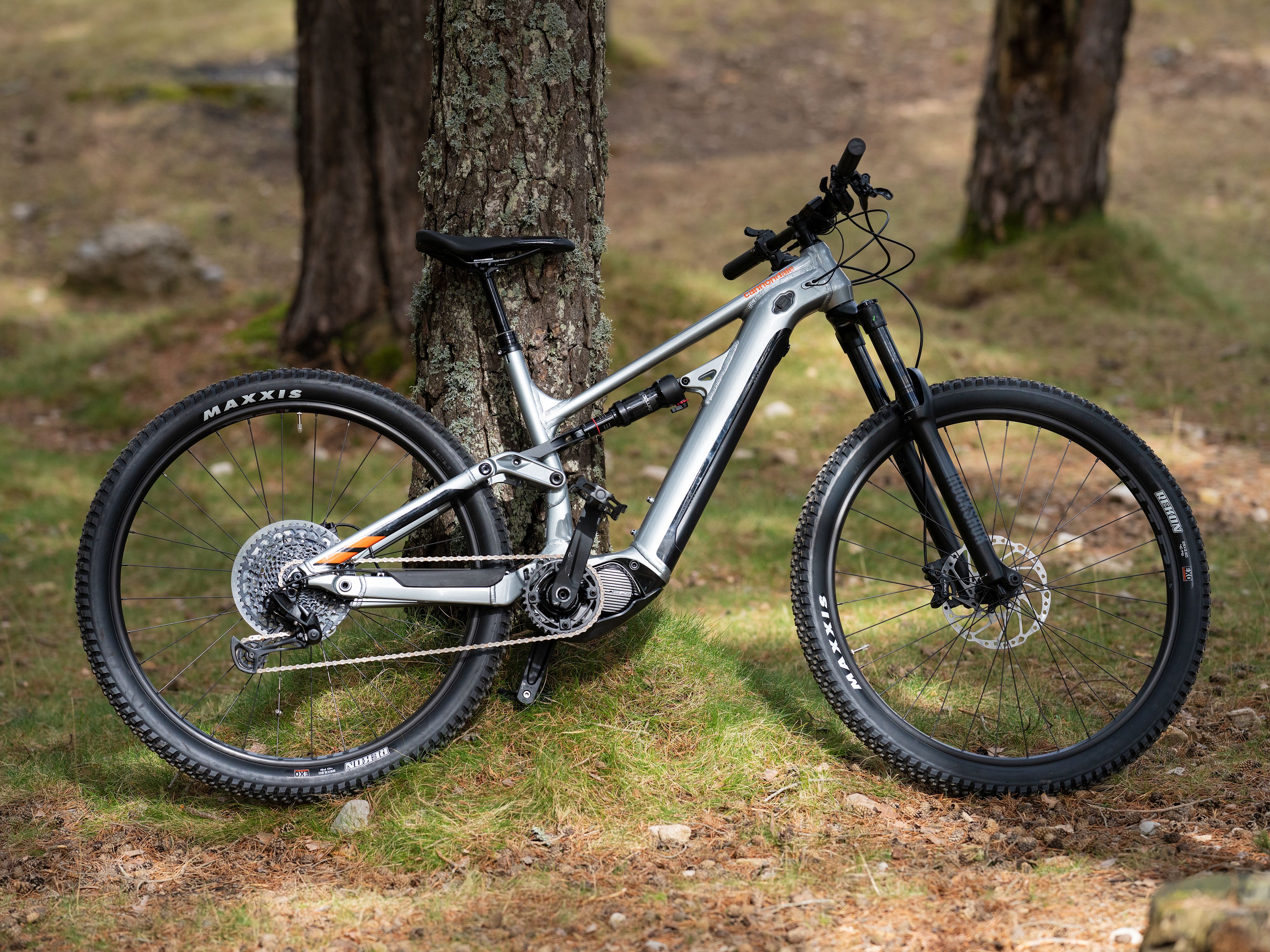 E-Bike im Wald