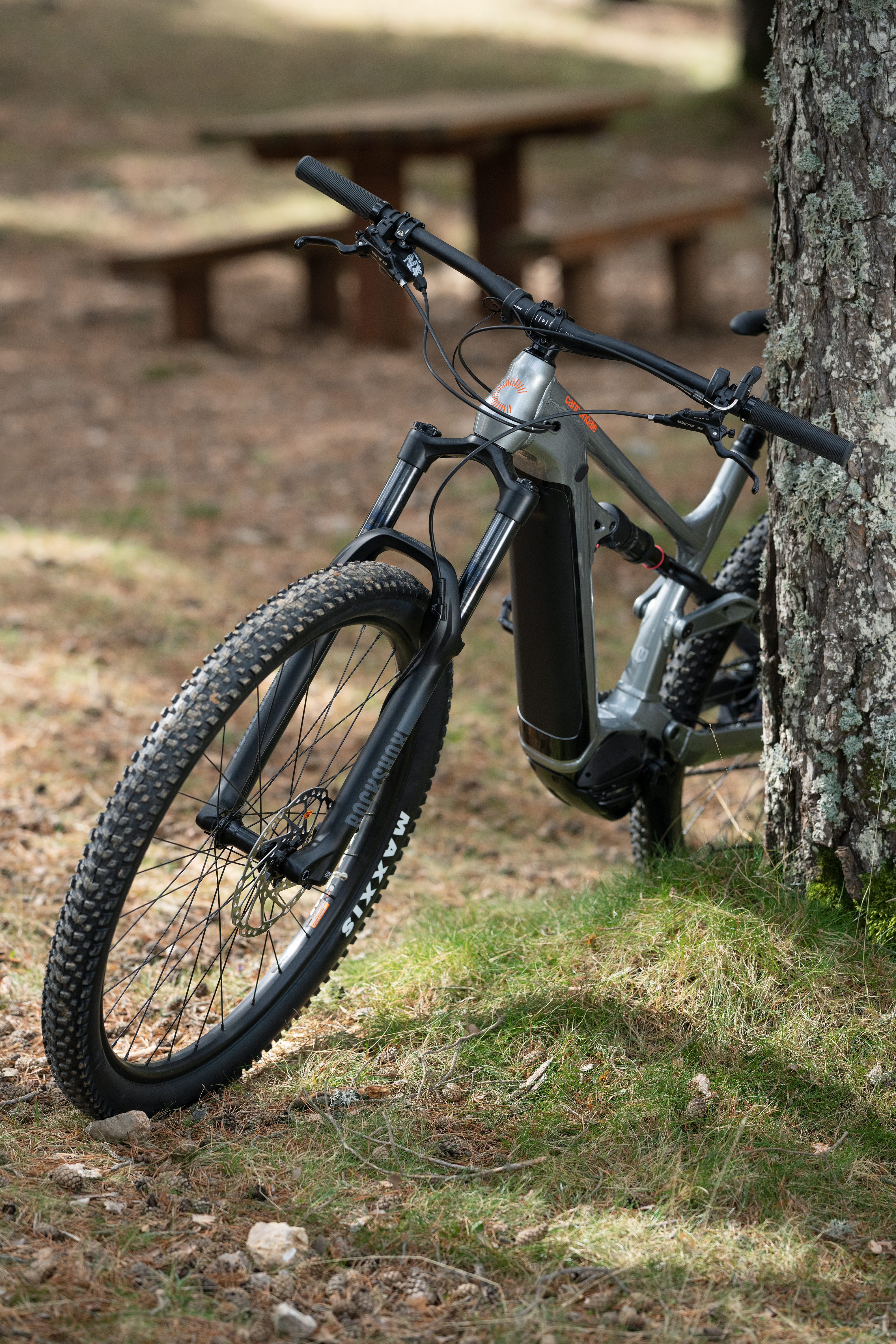 Fahrrad das im Wald an einen Baum lehnt