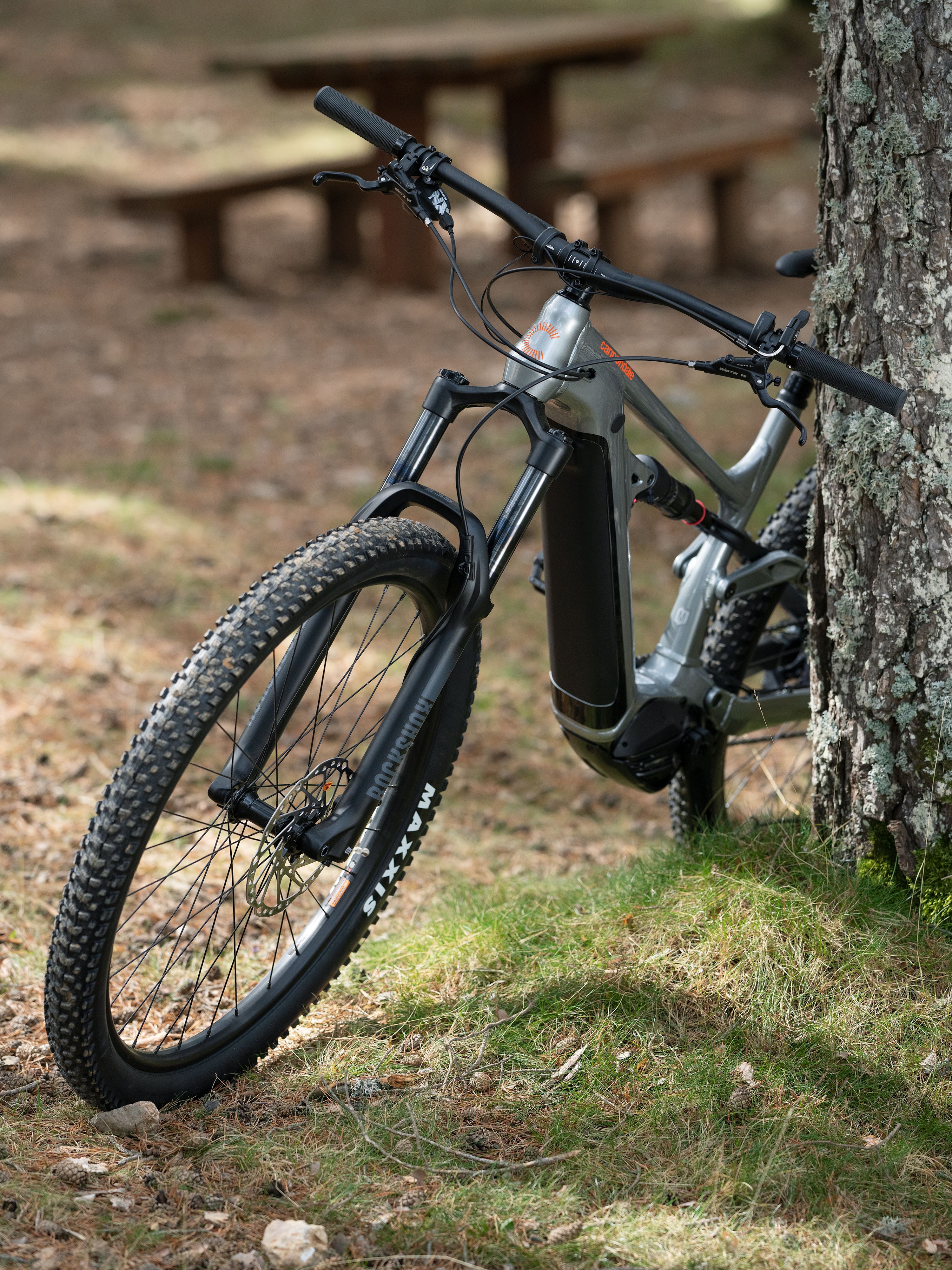 Fahrrad das im Wald an einen Baum lehnt