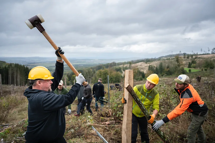 Bergwaldprojekt 2024 Domi