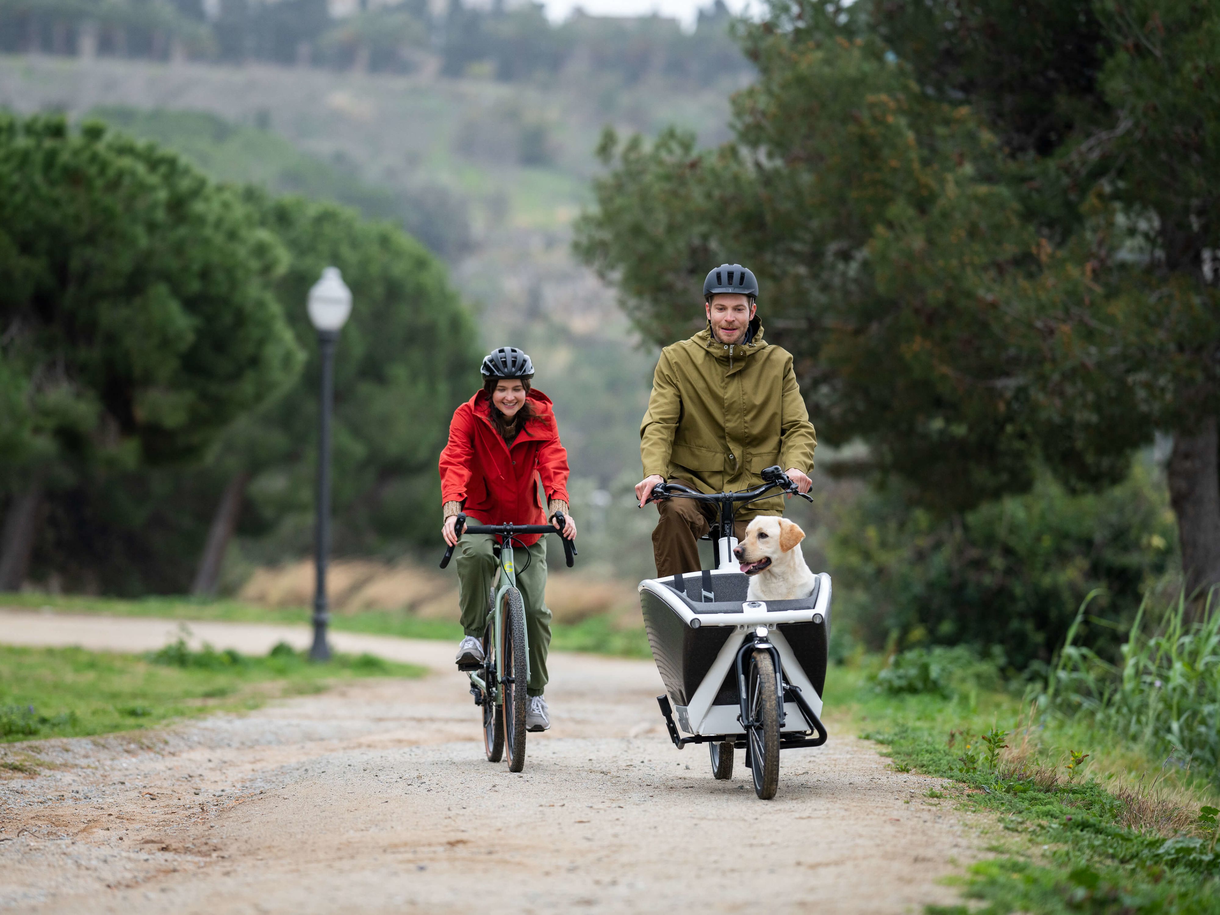 Zwei Menschen auf Fahrrädern. Lastenfahrrad mit Labrador im Anhänger.