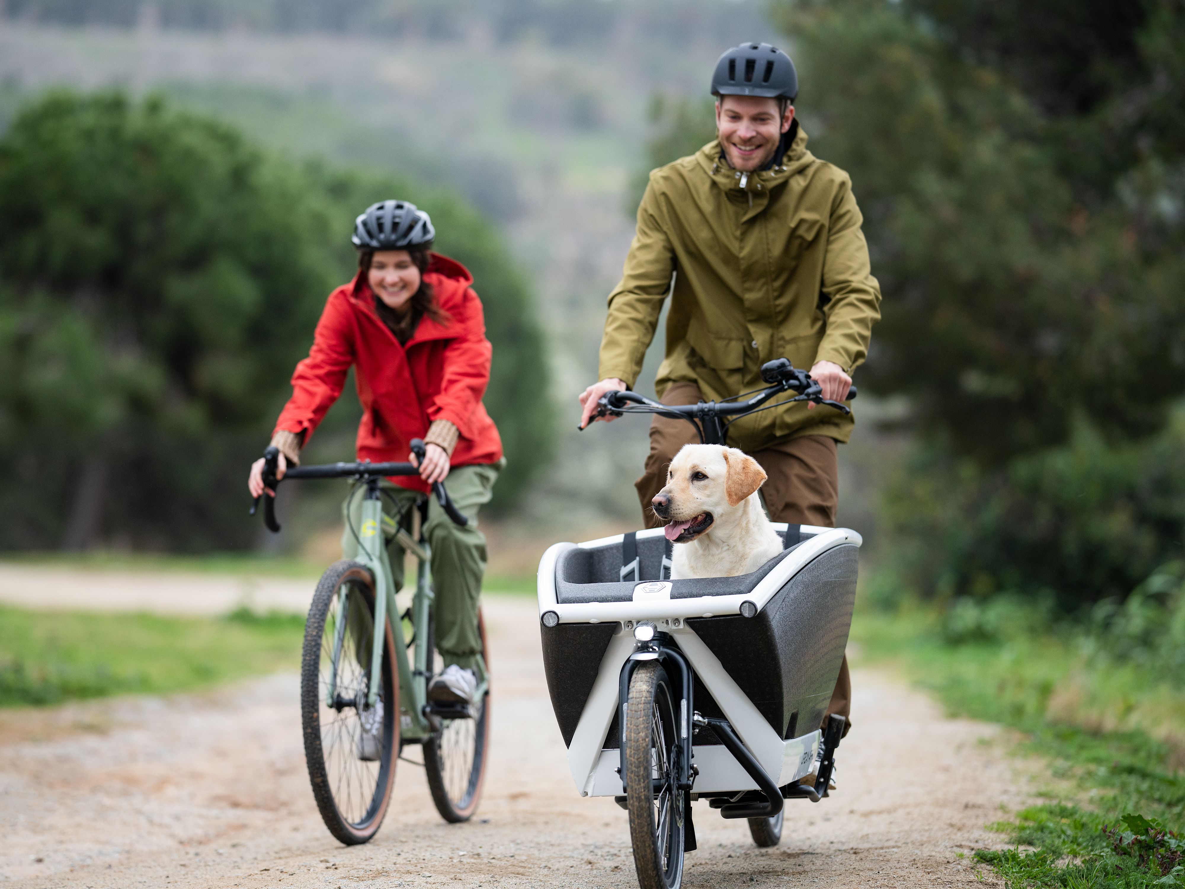 Zwei Menschen auf Fahrrädern. Lastenfahrrad mit Labrador im Anhänger.