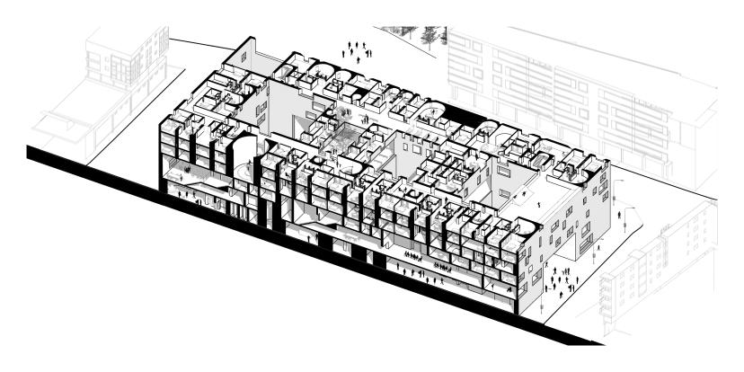 Section Axonometric