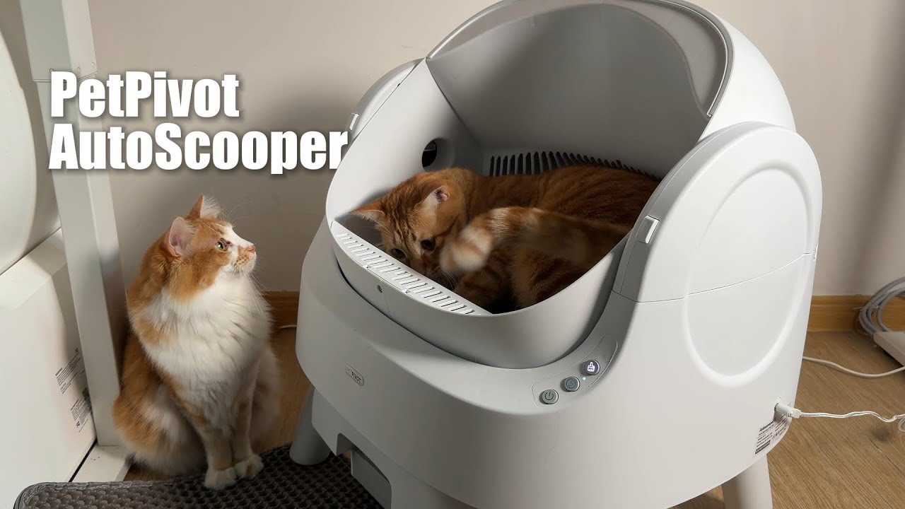 PetPivot AutoScooper – Cover Image