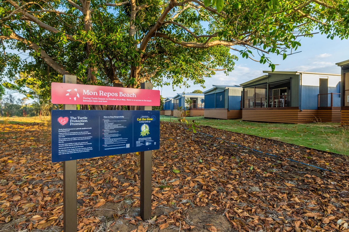 Sustainability Turtle Sands