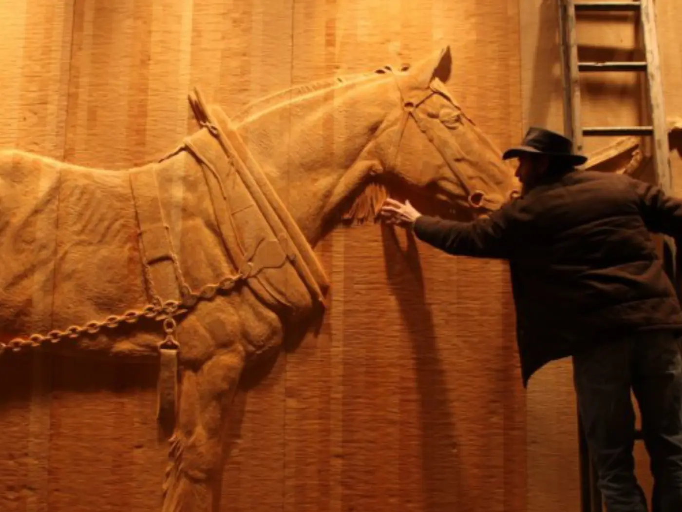 The wall in the wilderness, Tasmania