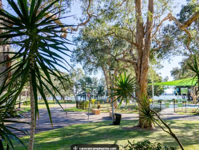 Budgewoi pool view