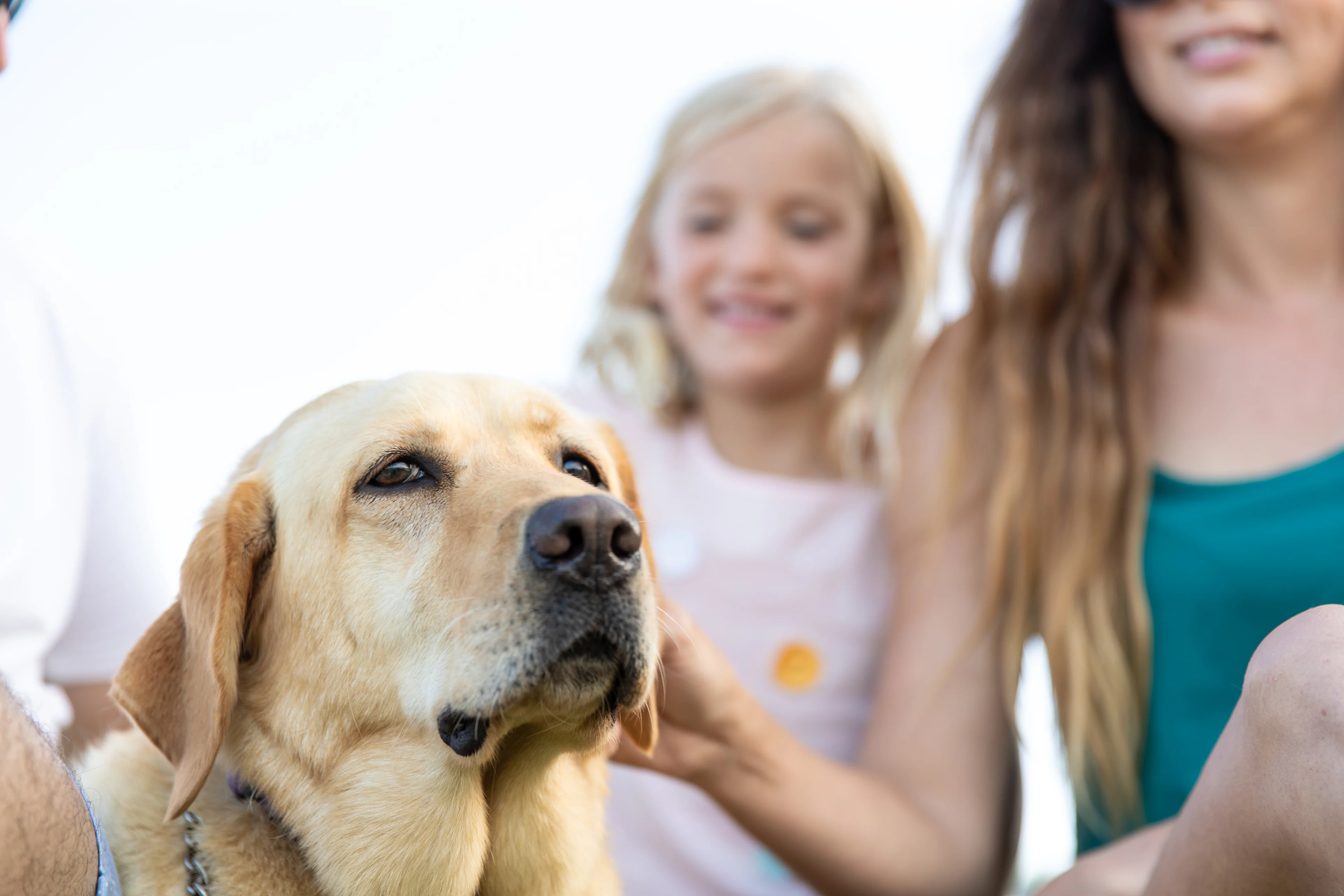 Norah Head pet friendly