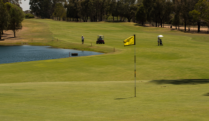 Forster Tuncurry golf club
