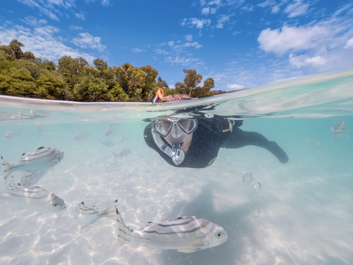 Whitehaven Beach