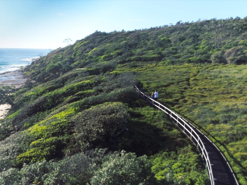 Walking track along the coast through Yuraygir National Park