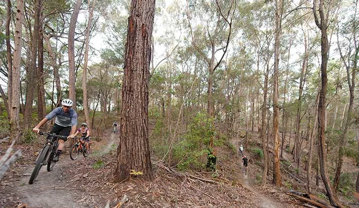 Person riding a bike at Bundadung Trail Network