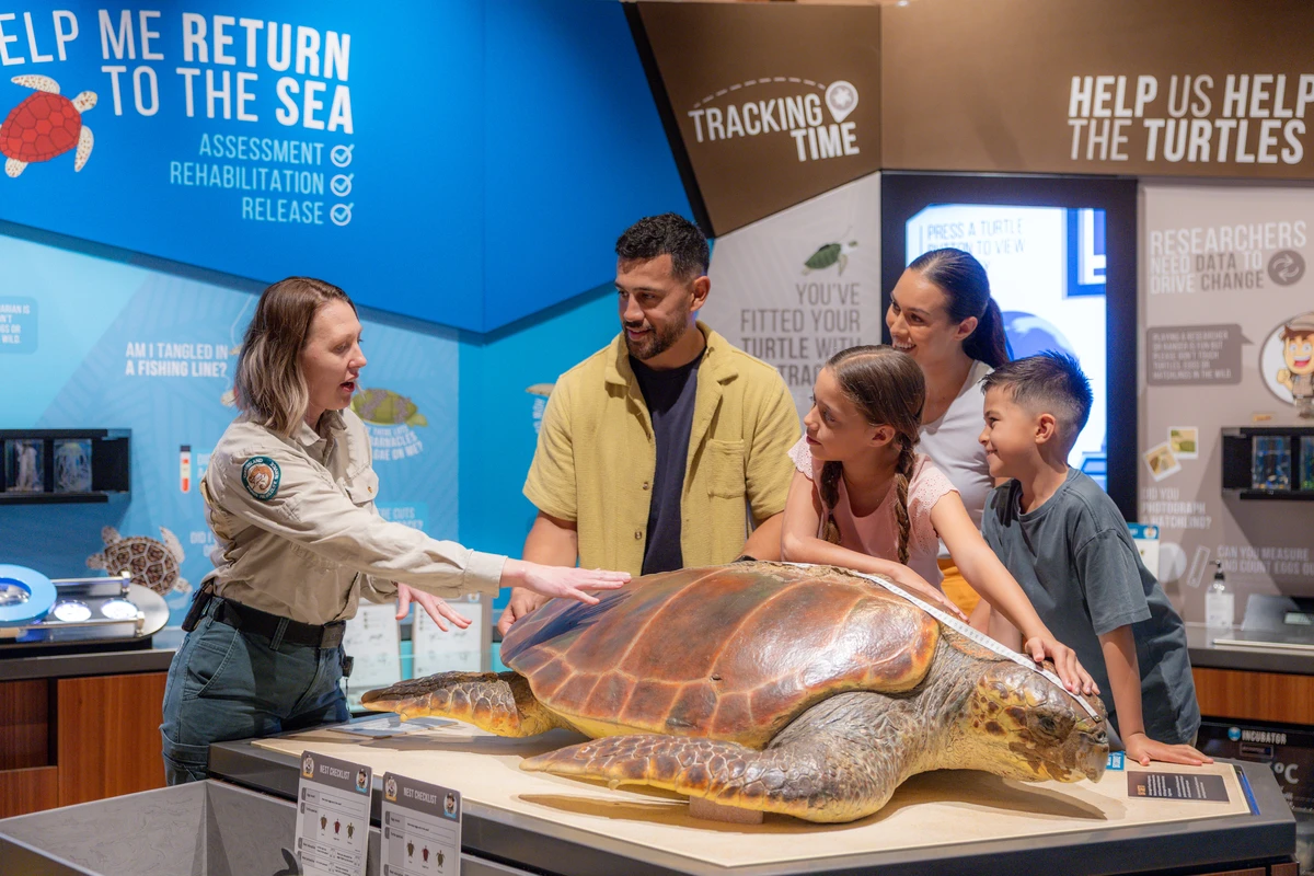 Mon Repos turtle centre