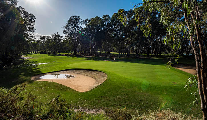 Coomealla Golf Club Mildura region