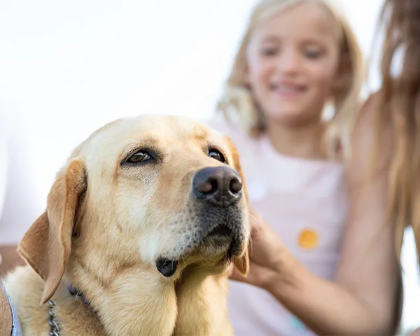 Facility pet friendly