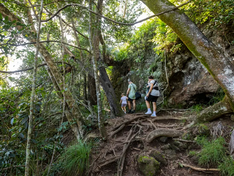 Cape Hillsborough walking trails