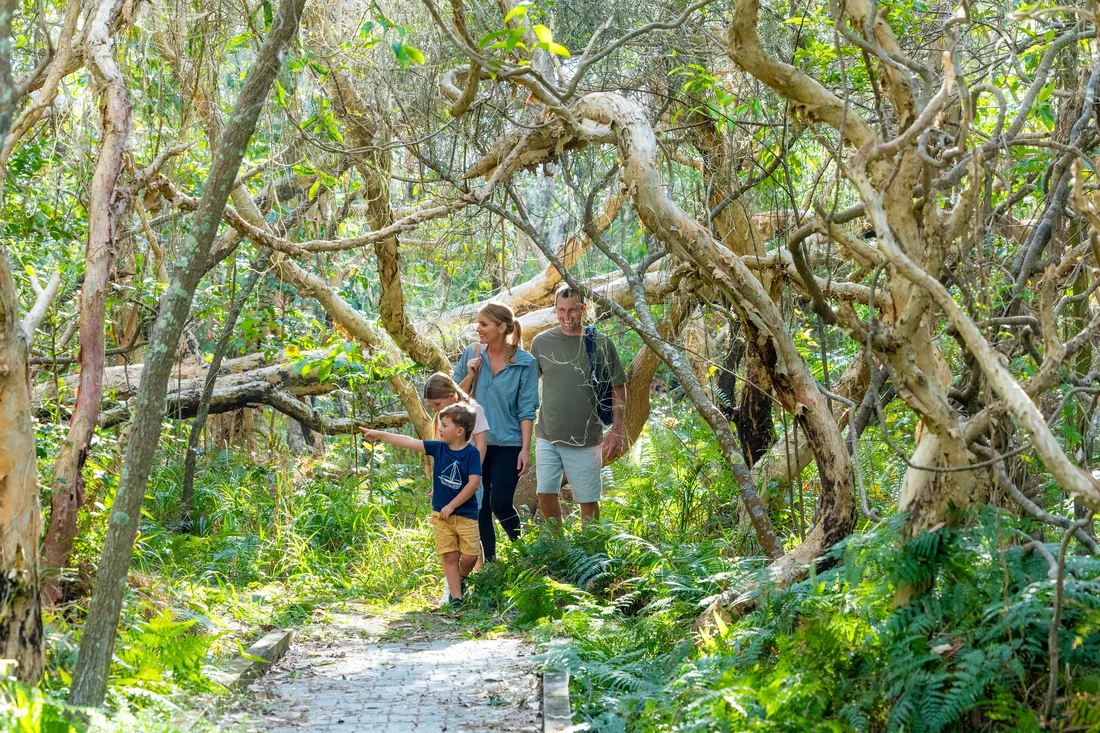 Family bushwalk Yamba, NSW