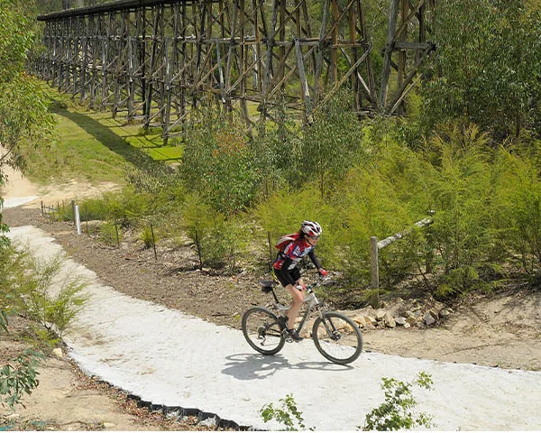 Mountain bike riding