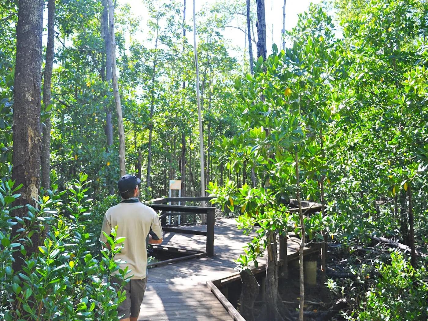 Diversity Boardwalk