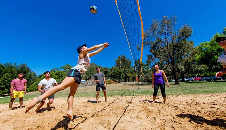 NRMA HG volley ball