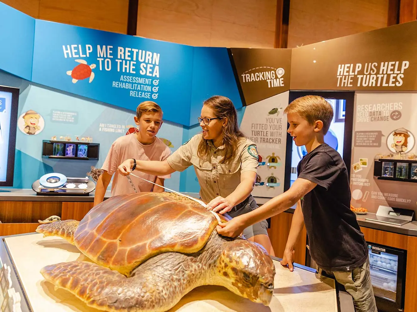 Mon Repos Turtle Centre