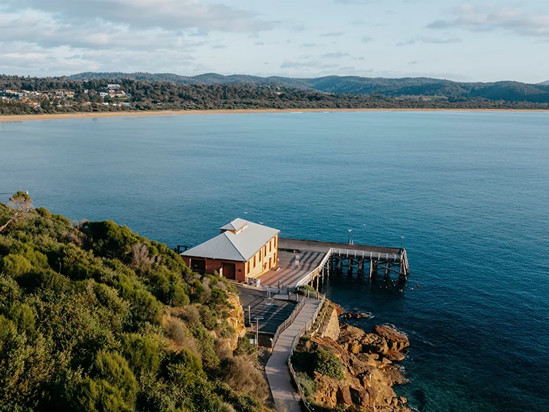 Tathra Whalf, South Coast