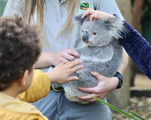 Australian Reptile Park