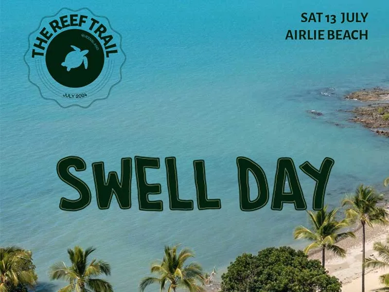 Image of a beach with the words Swell Day over the top