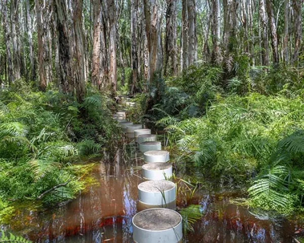 Forrest setting with stepping blocks dotted through a creek in Agnes Water