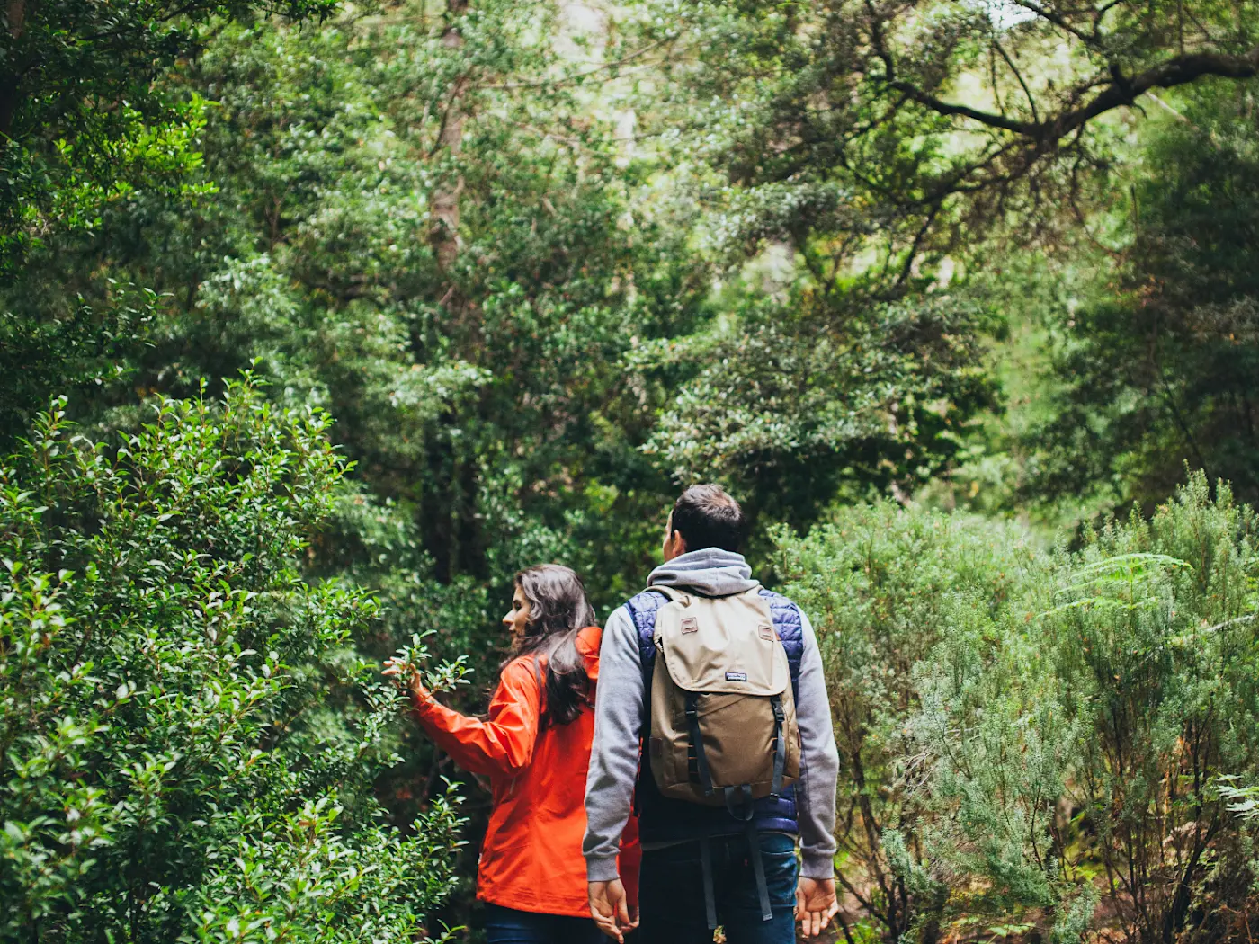 Echo Point walk, Tasmania