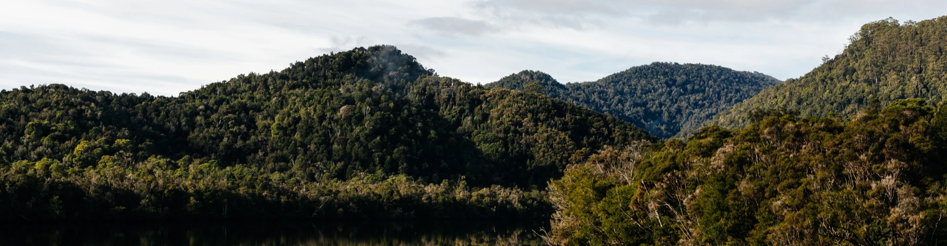 Gordon River near Strahan in Tasmania