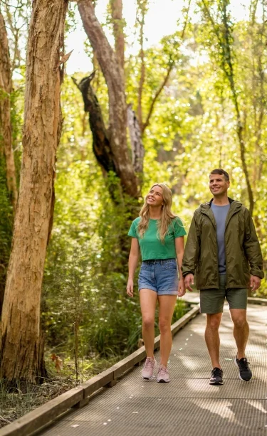Rainforest walk near NRMA Darlington Beach Holiday Resort.