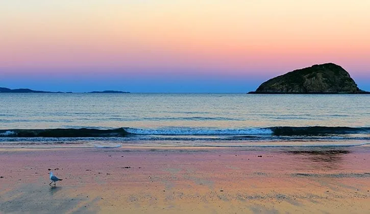 Capricorn Yeppoon