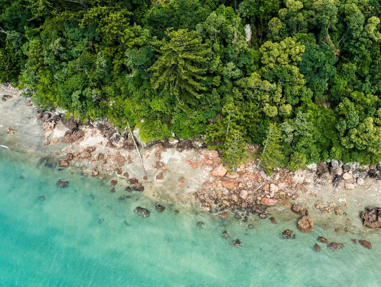 Volcanic landscape of Cape Hillsborough, Mackay.