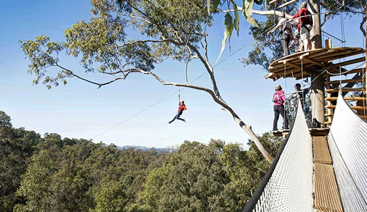 Tree top adventure park at Ocean Beach