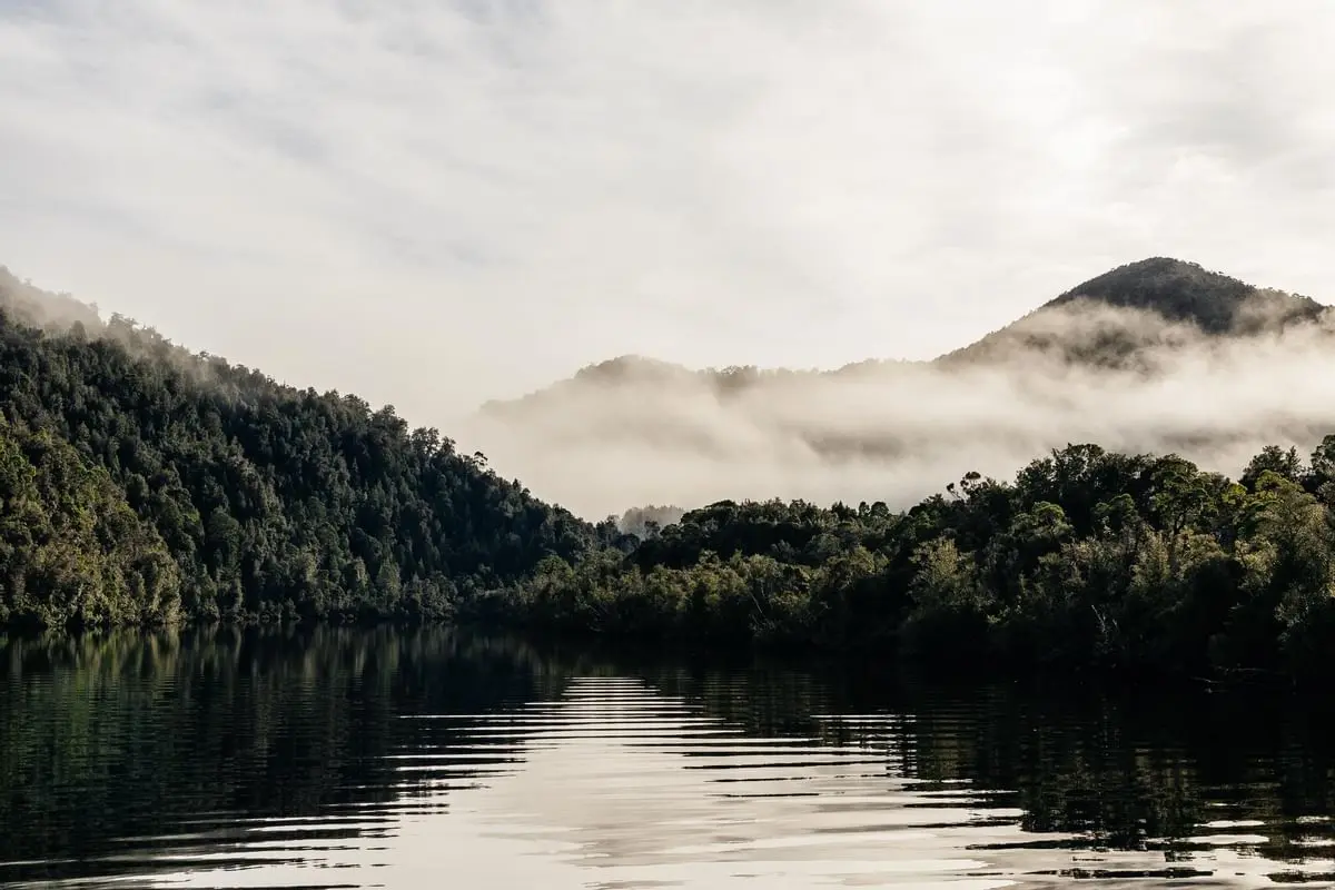 Landscape view of Gordon River & forest near Strahan Village