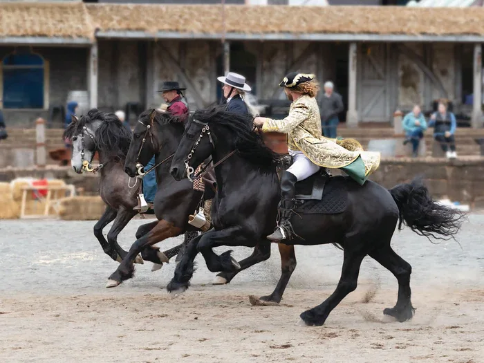 Kryal castle horses near Ballarat