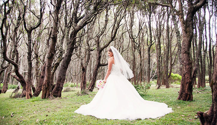 Photoshoot of bride amongst the trees