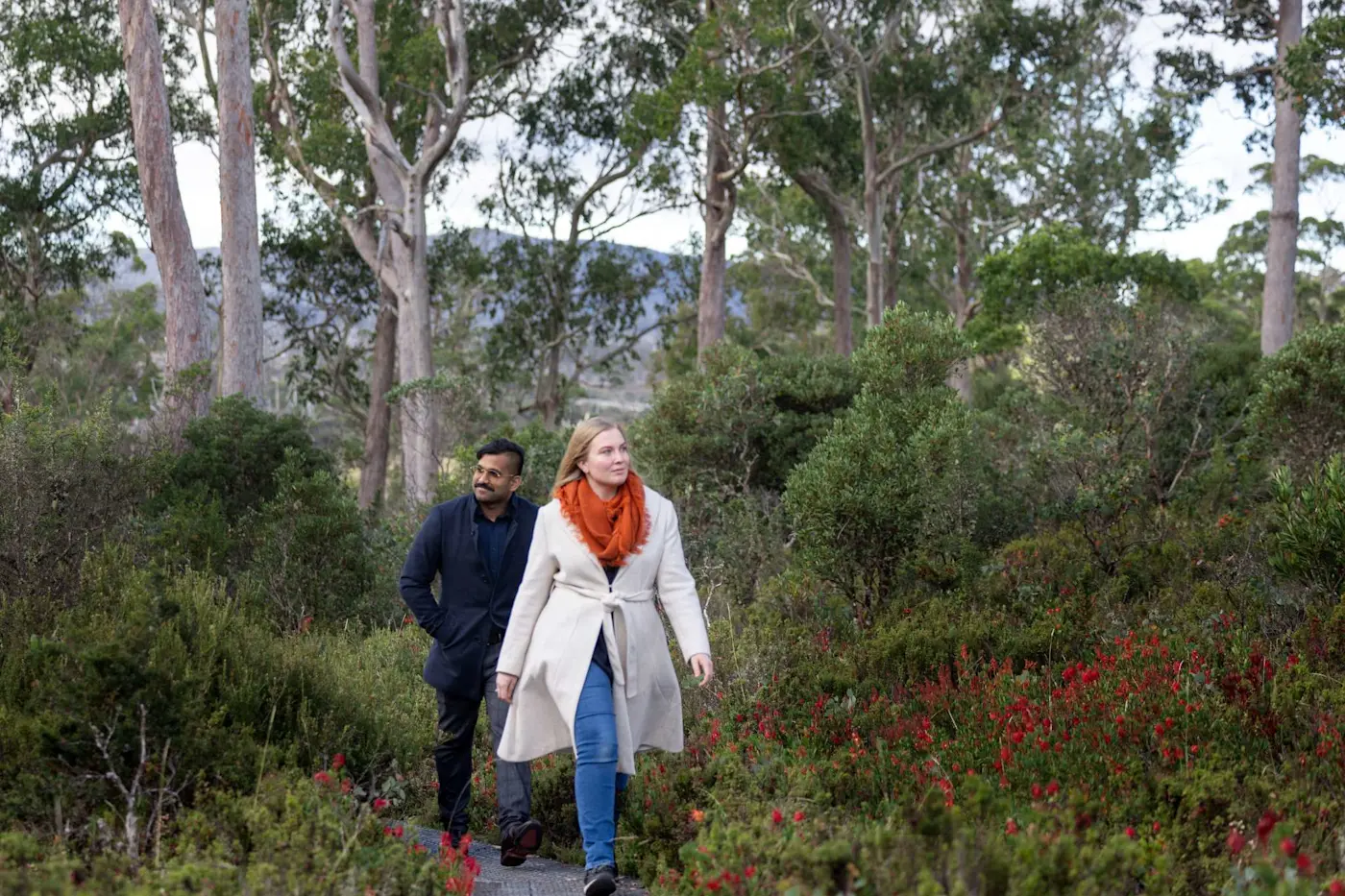 Couple walking on a trail through a forest near Cradle Mountain Hotel