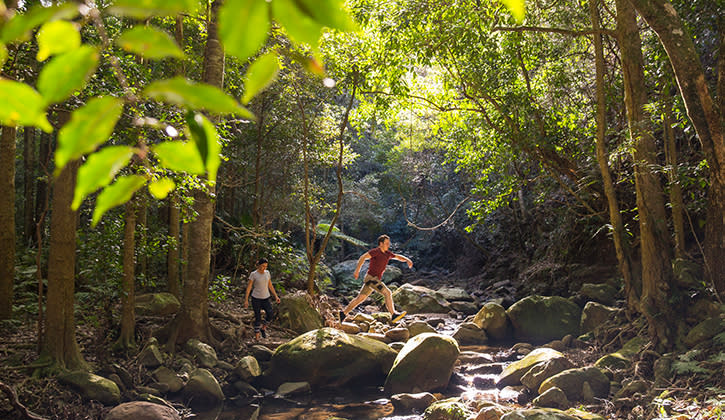 Macquarie Pass National Park